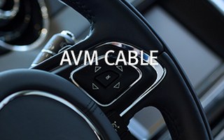 GPS/DMB Cable